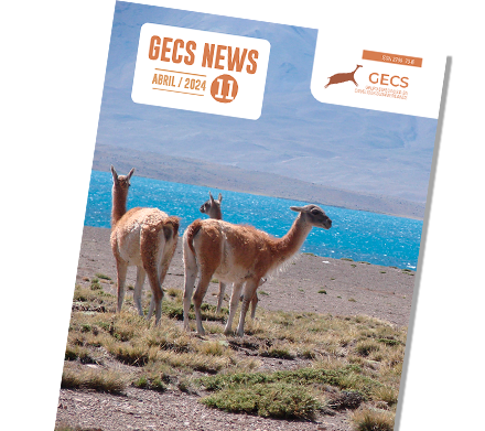 Revista GECS News
