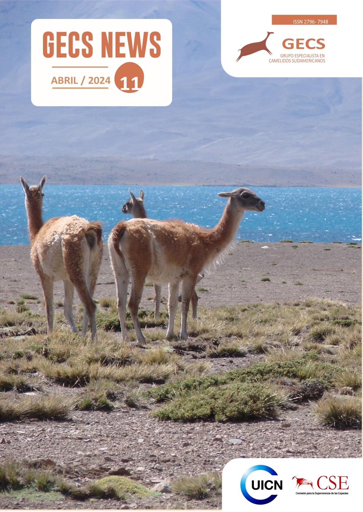 Revista GECS News 9