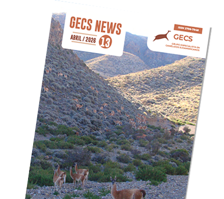 Revista GECS News