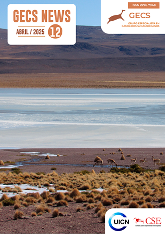 Revista GECS News